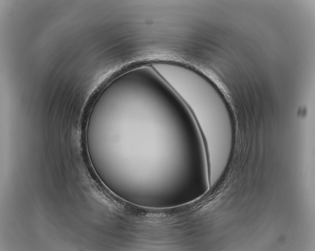 X0000090710391200707200956