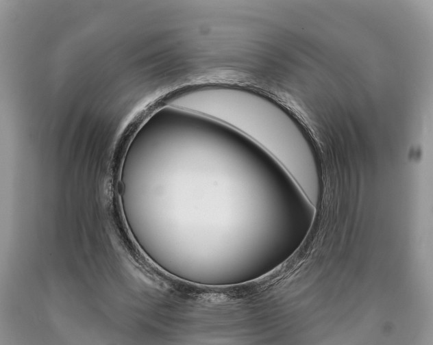 X0000090710392200707200956