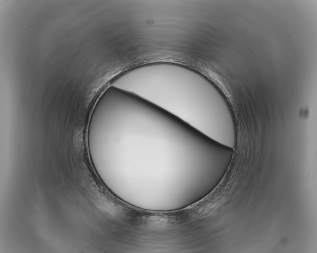 X0000090710394200707200956