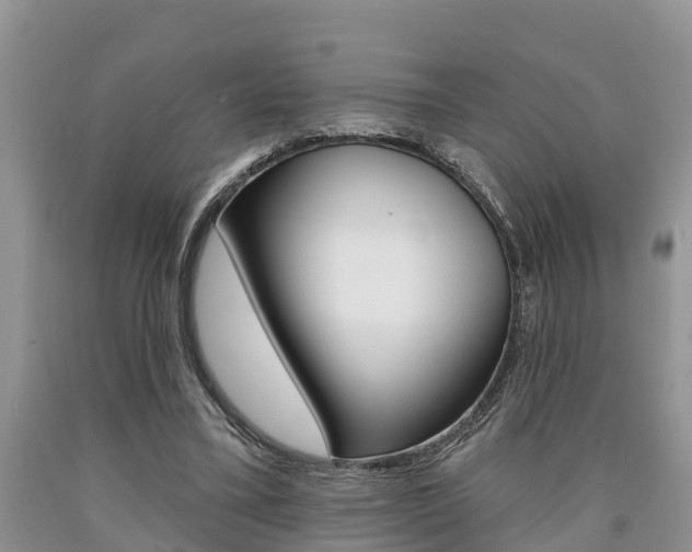 X0000090710395200707200956