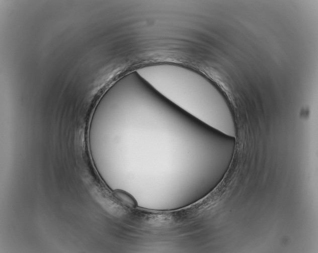 X0000090710398200707200956