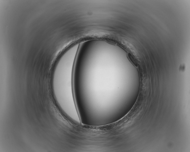 X0000090710399200707200956