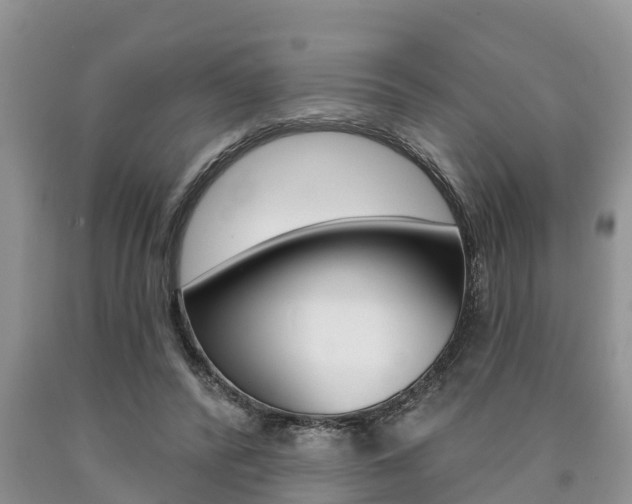 X0000090710400200707200956