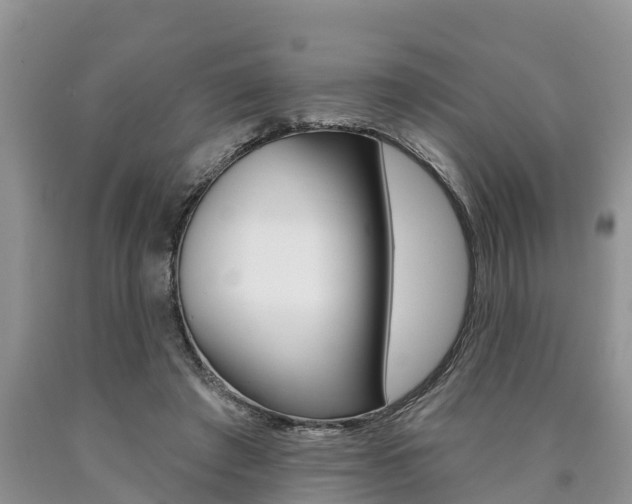 X0000090710401200707200956