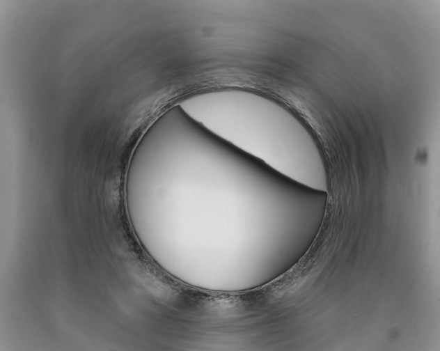 X0000090710402200707200956