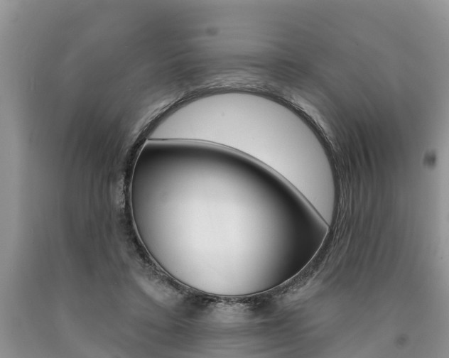 X0000090710403200707200956