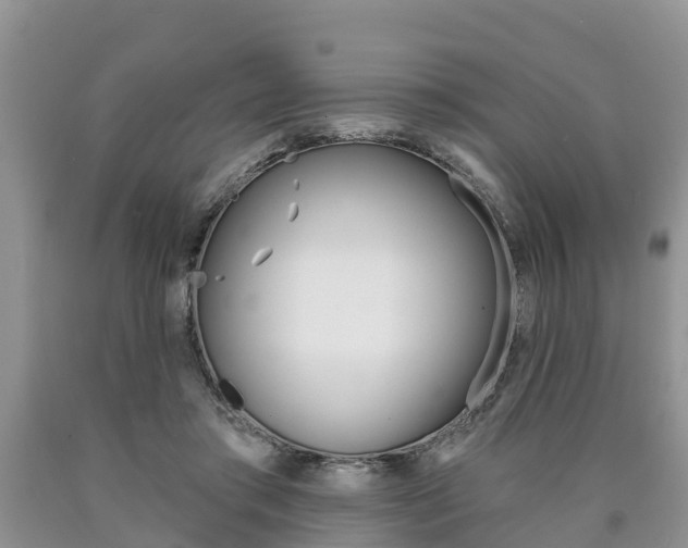 X0000090710405200707200956