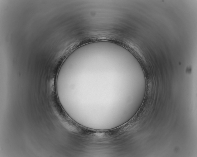 X0000090710406200707200956