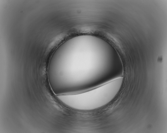 X0000090710407200707200956