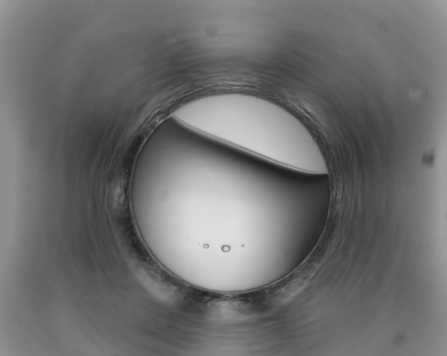 X0000090710408200707200956