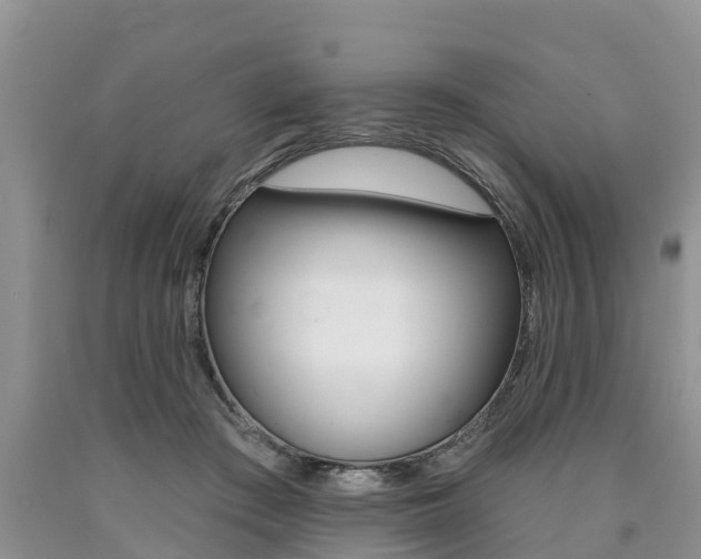 X0000090710409200707200956