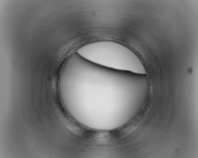 X0000090710410200707200956