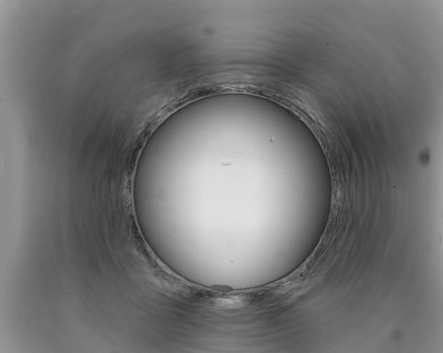 X0000090710411200707200956
