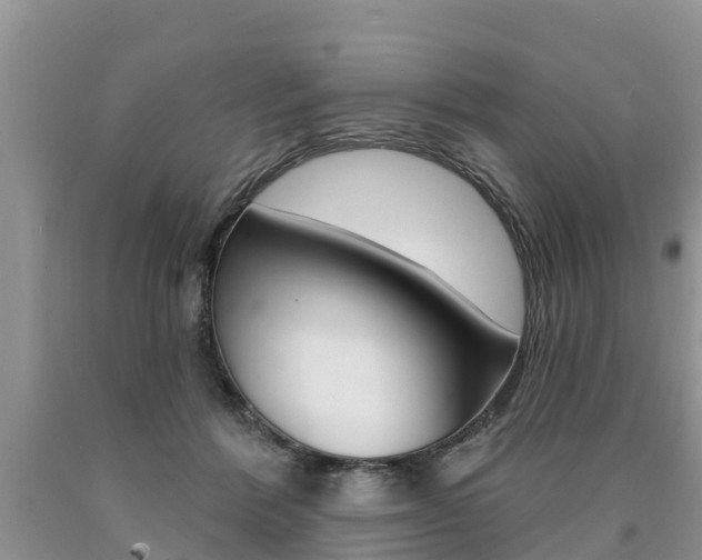 X0000090710412200707200956
