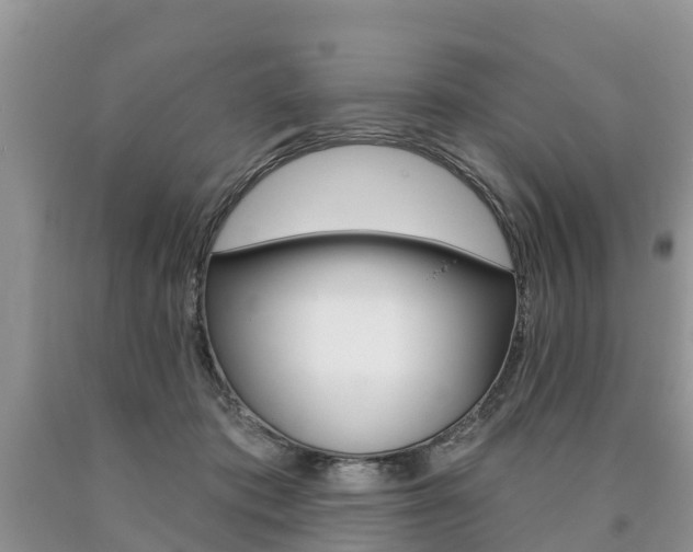 X0000090710413200707200956
