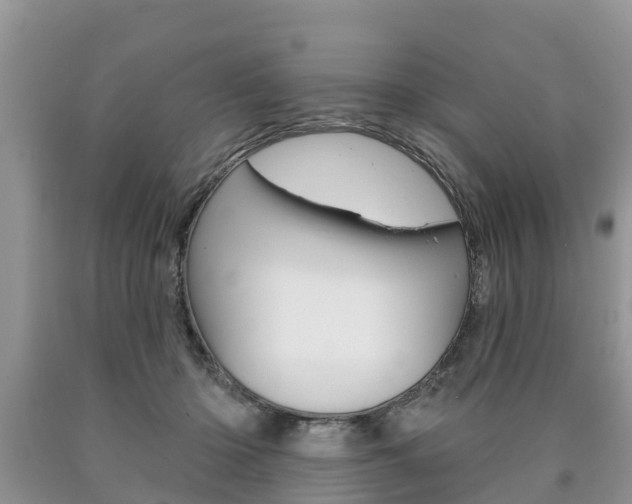 X0000090710414200707200956