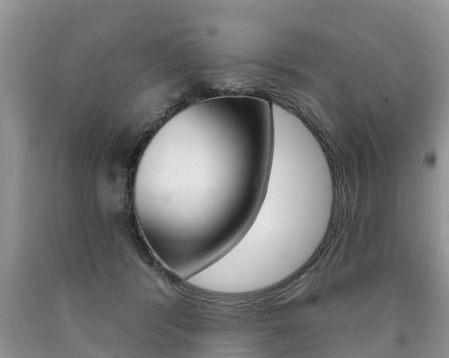 X0000090710416200707200955