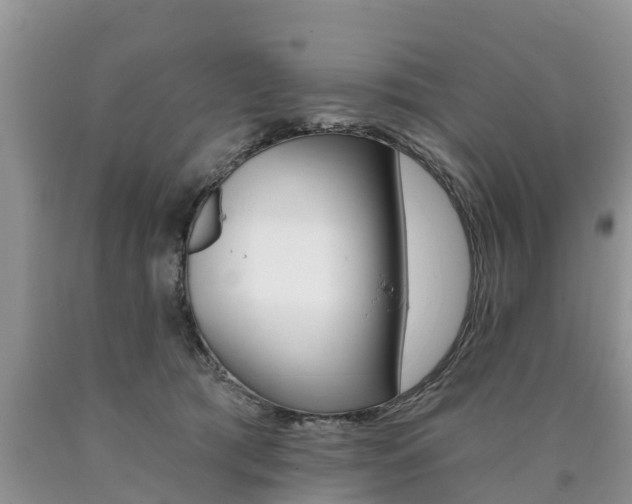 X0000090710417200707200955
