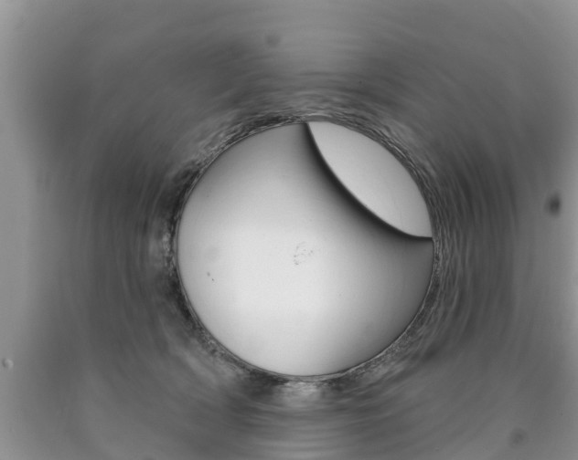 X0000090710418200707200955