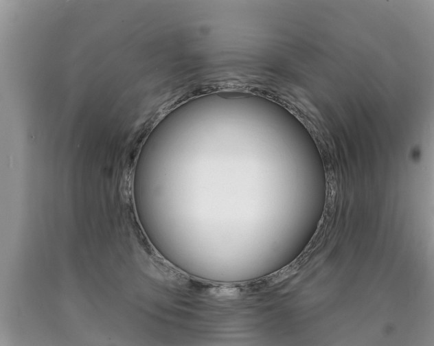 X0000090710419200707200955