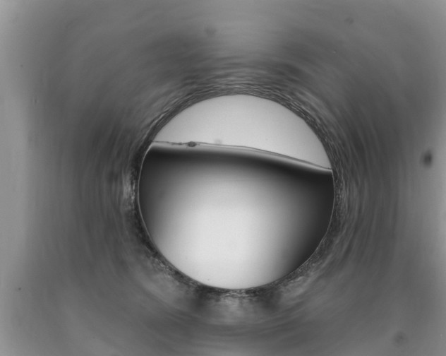 X0000090710420200707200955