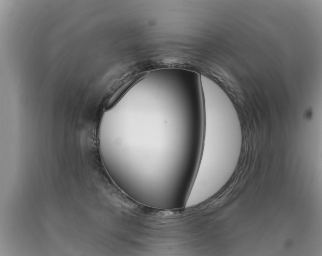 X0000090710421200707200955