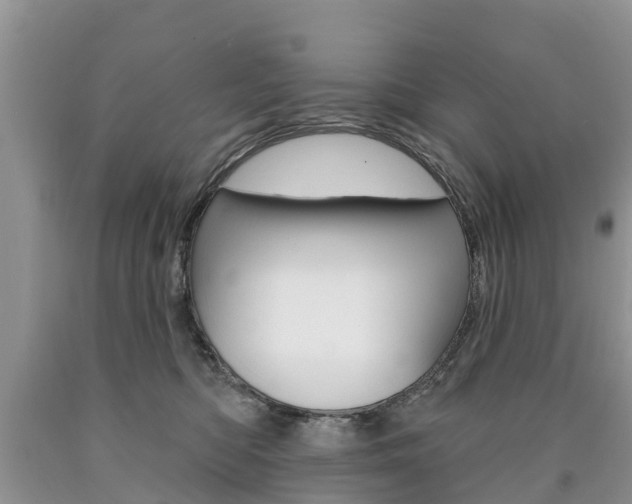 X0000090710422200707200955