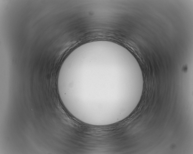 X0000090710423200707200955