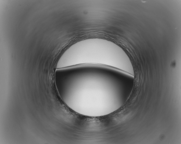 X0000090710424200707200955