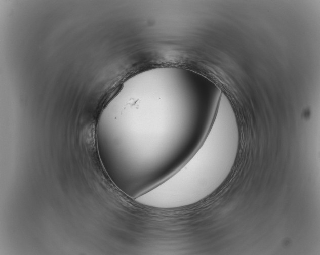 X0000090710425200707200955