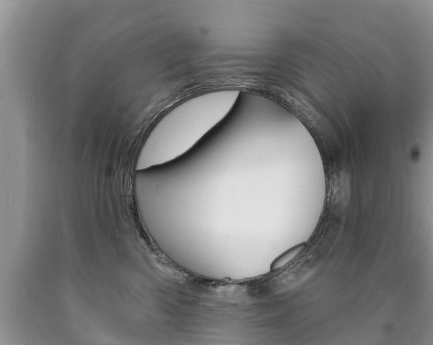 X0000090710426200707200955
