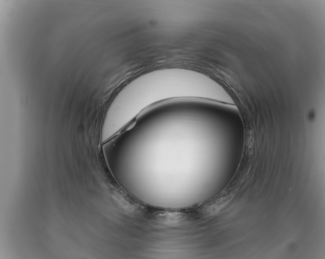 X0000090710428200707200955