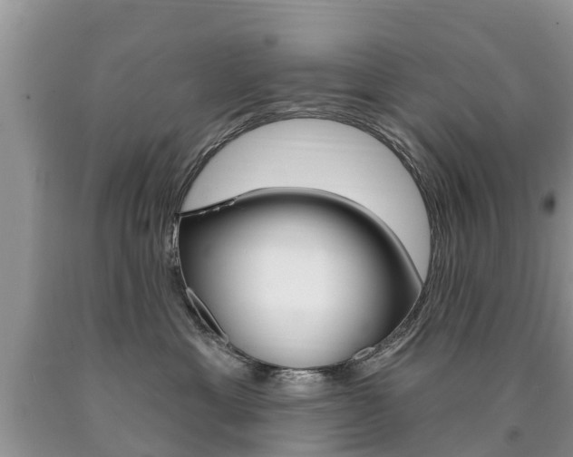 X0000090710429200707200955