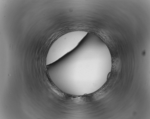 X0000090710430200707200955