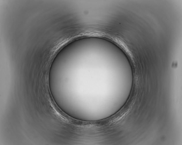 X0000090710433200707200955