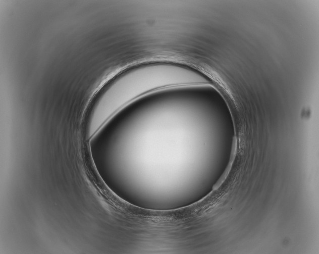 X0000090710436200707200955