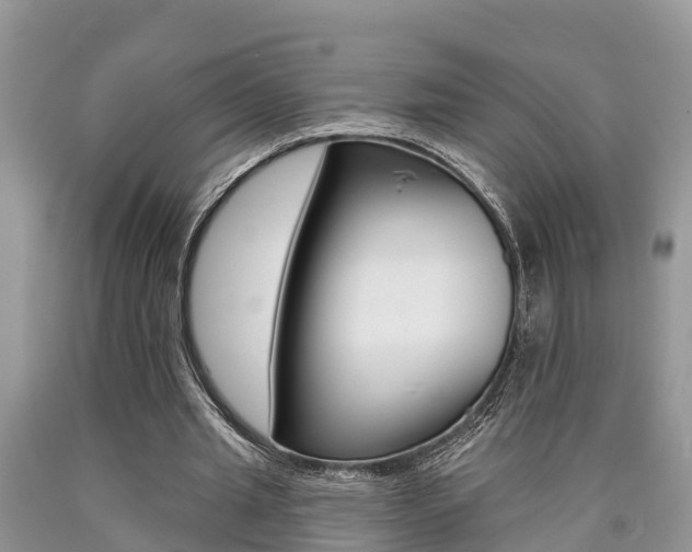 X0000090710437200707200955