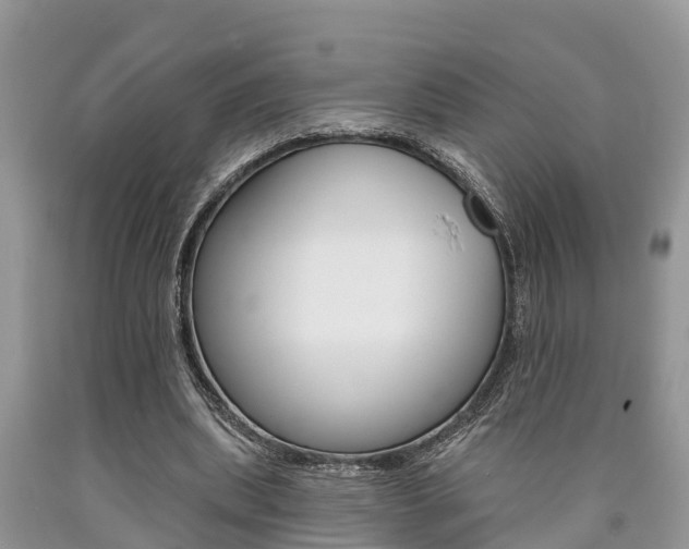X0000090710439200707200955