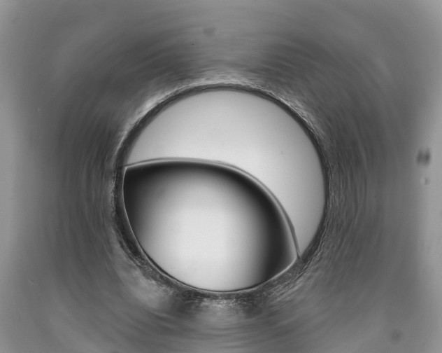 X0000090710440200707200955