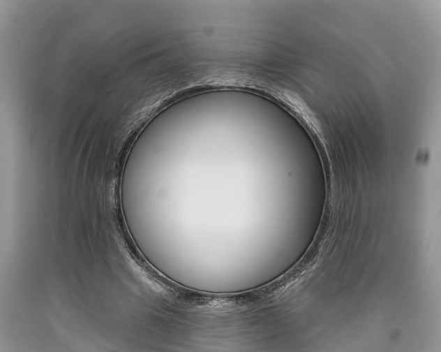 X0000090710441200707200955