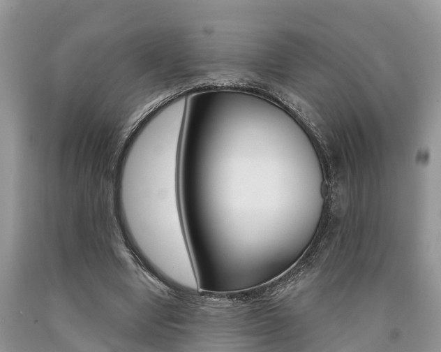 X0000090710442200707200955