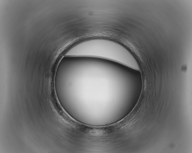 X0000090710444200707200955
