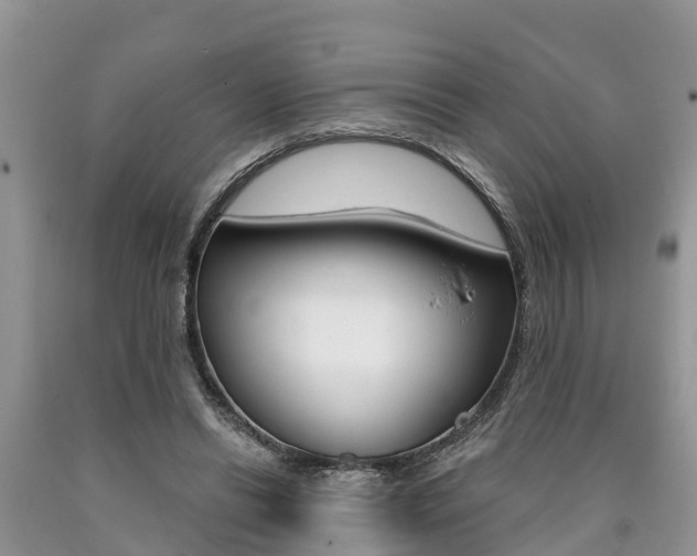 X0000090710446200707200955