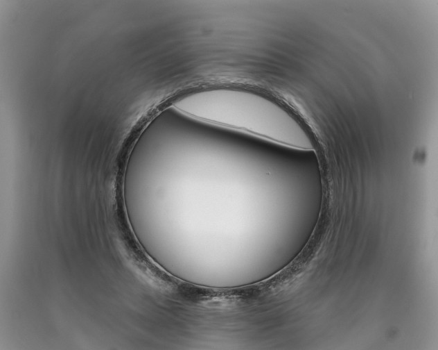 X0000090710447200707200955
