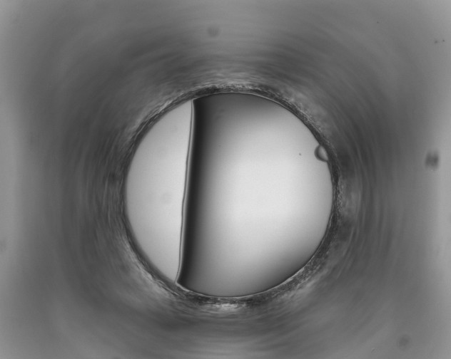 X0000090710449200707200955