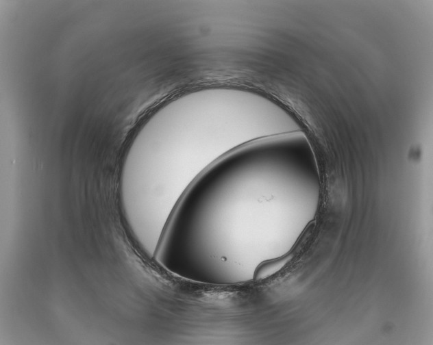 X0000090710450200707200955