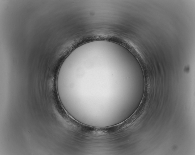 X0000090710451200707200955
