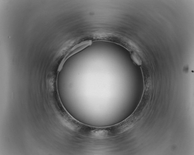 X0000090710452200707200955