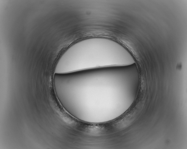 X0000090710453200707200955