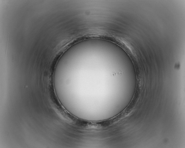 X0000090710455200707200955